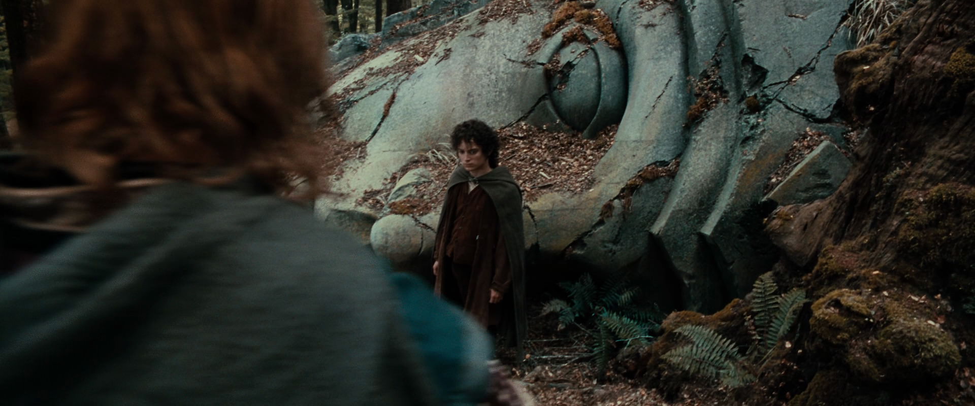 The Lord of the Rings: The Fellowship of the Ring (2001) movie still 21343