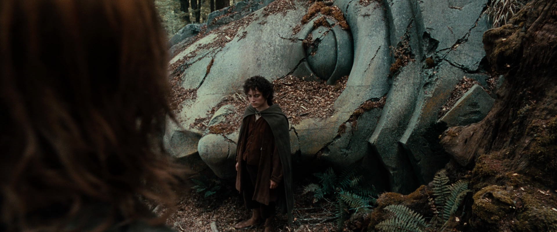 The Lord of the Rings: The Fellowship of the Ring (2001) screencap 21345