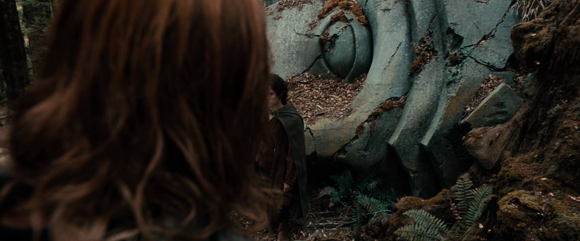 The Lord of the Rings: The Fellowship of the Ring (2001) movie still 21346