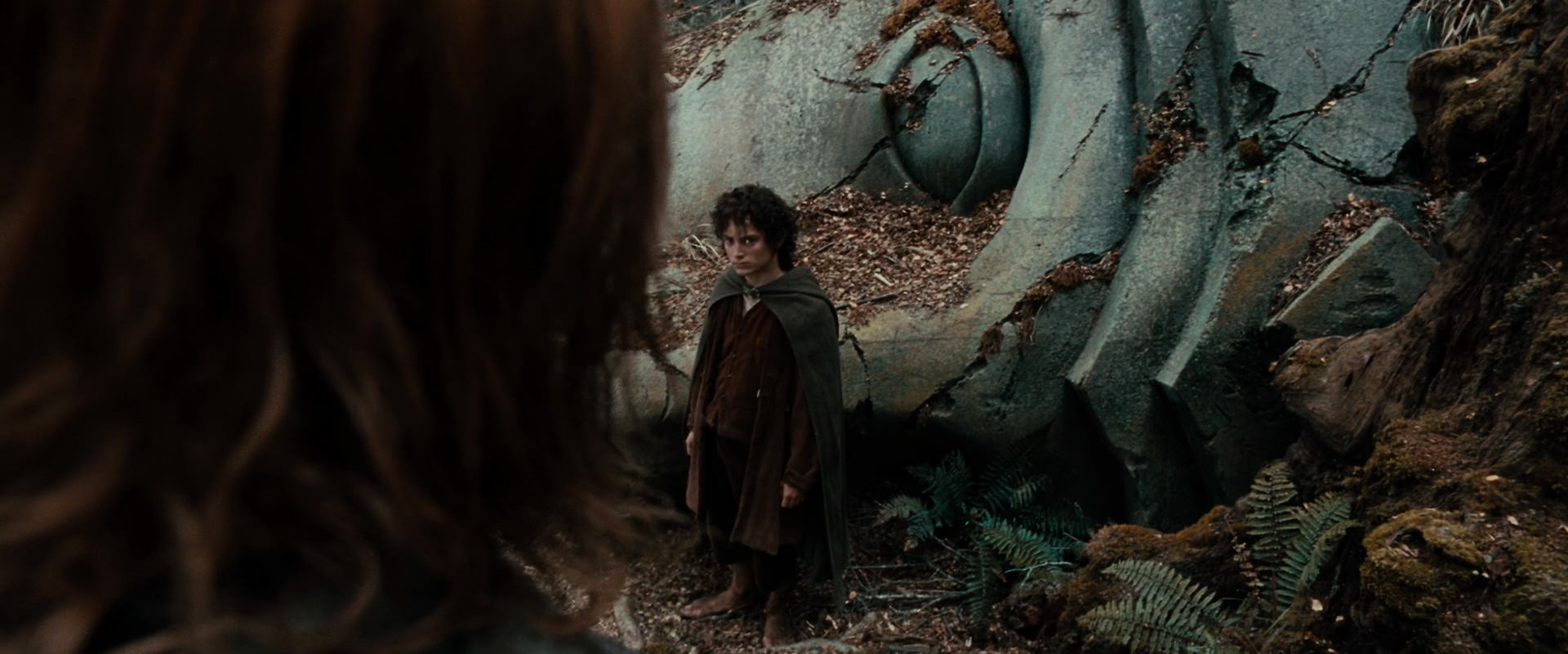 The Lord of the Rings: The Fellowship of the Ring (2001) HD screenshot 21347