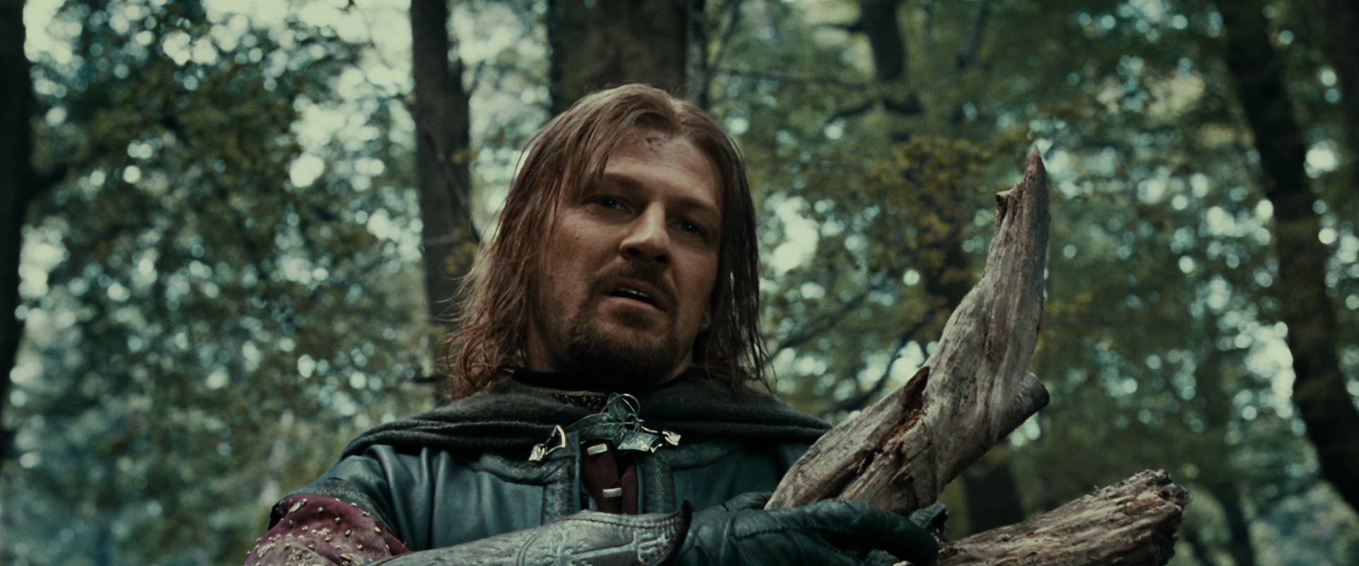 The Lord of the Rings: The Fellowship of the Ring (2001) screencap 21348