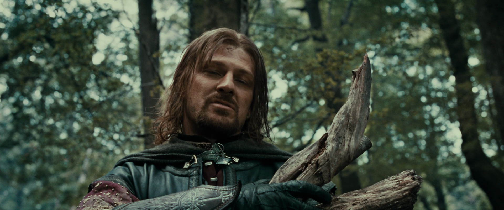The Lord of the Rings: The Fellowship of the Ring (2001) movie still 21349