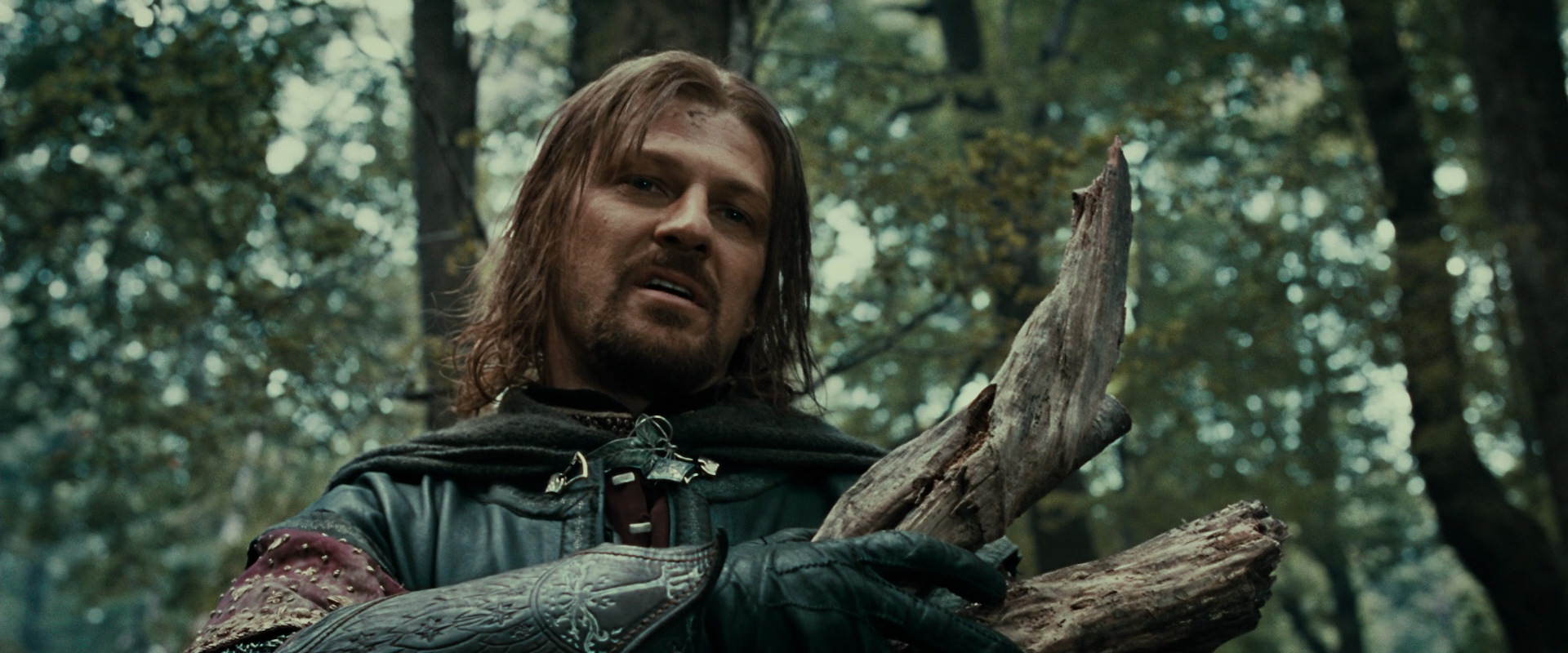 The Lord of the Rings: The Fellowship of the Ring (2001) HD screenshot 21350