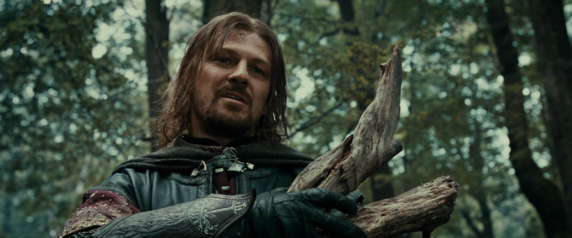 The Lord of the Rings: The Fellowship of the Ring (2001) screencap 21351