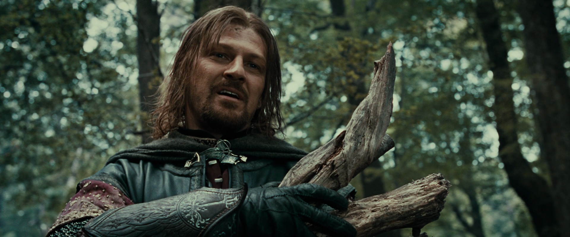 The Lord of the Rings: The Fellowship of the Ring (2001) HD screenshot 21353