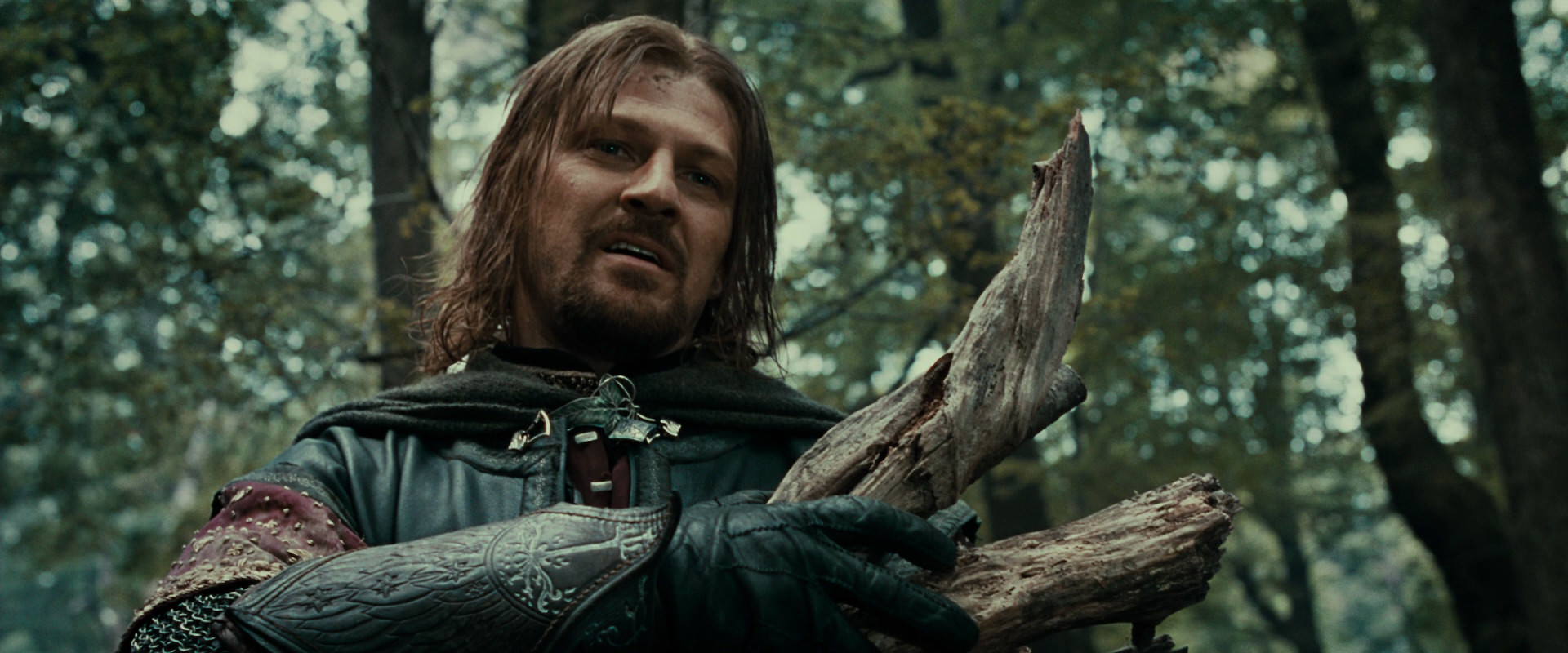 The Lord of the Rings: The Fellowship of the Ring (2001) screencap 21354