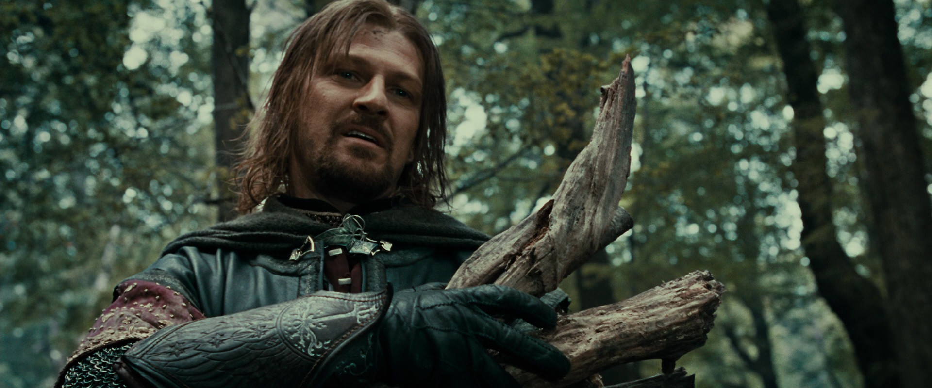 The Lord of the Rings: The Fellowship of the Ring (2001) movie still 21355