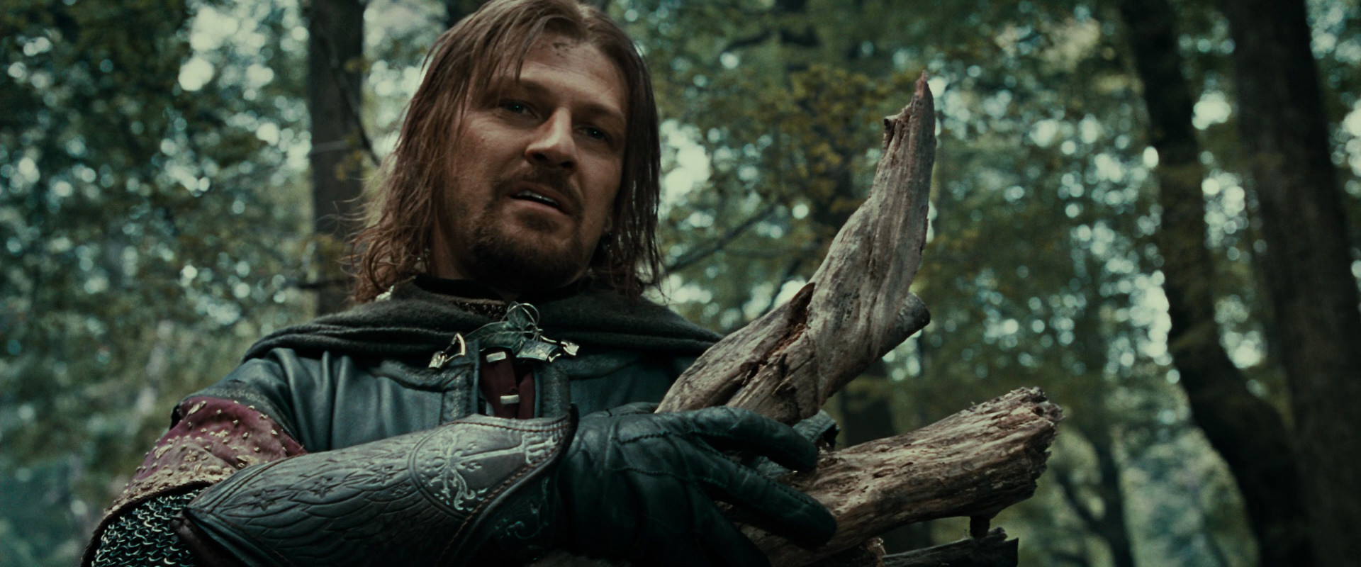 The Lord of the Rings: The Fellowship of the Ring (2001) HD screenshot 21356