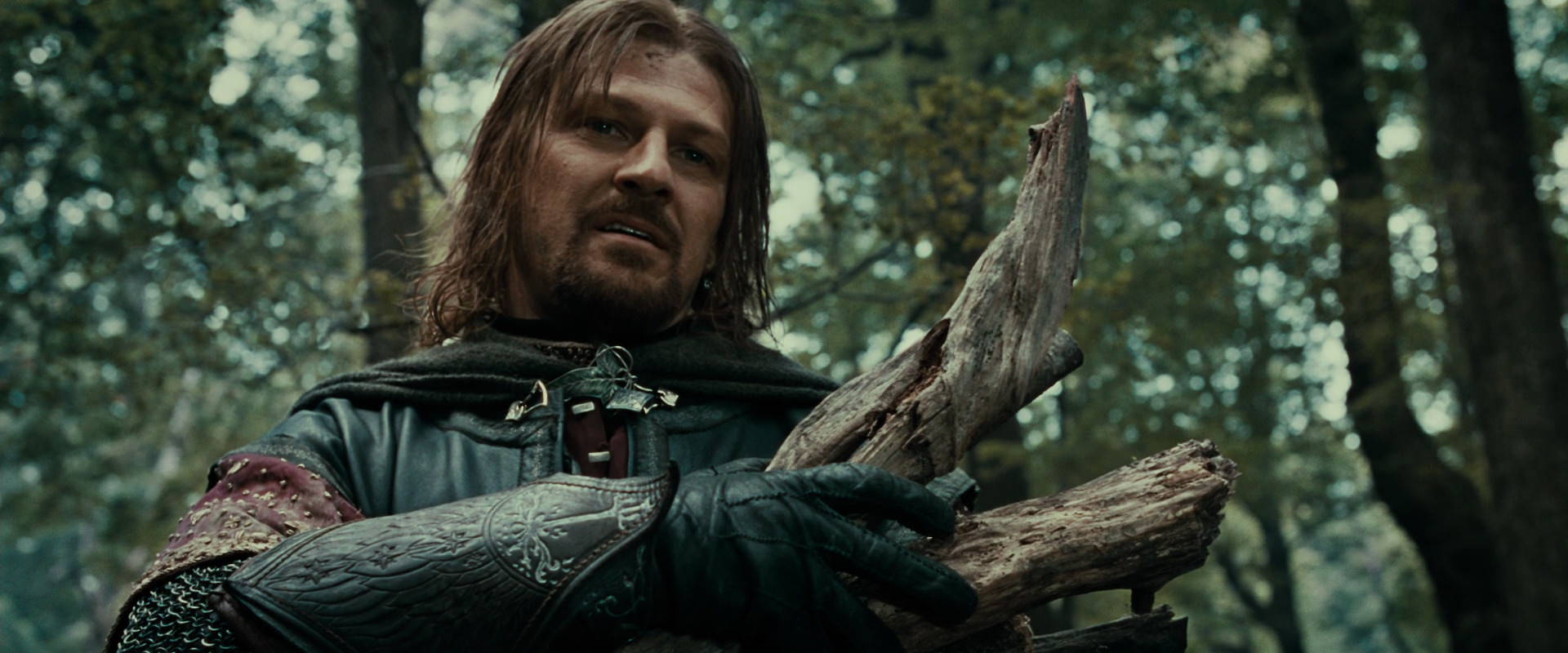 The Lord of the Rings: The Fellowship of the Ring (2001) screencap 21357