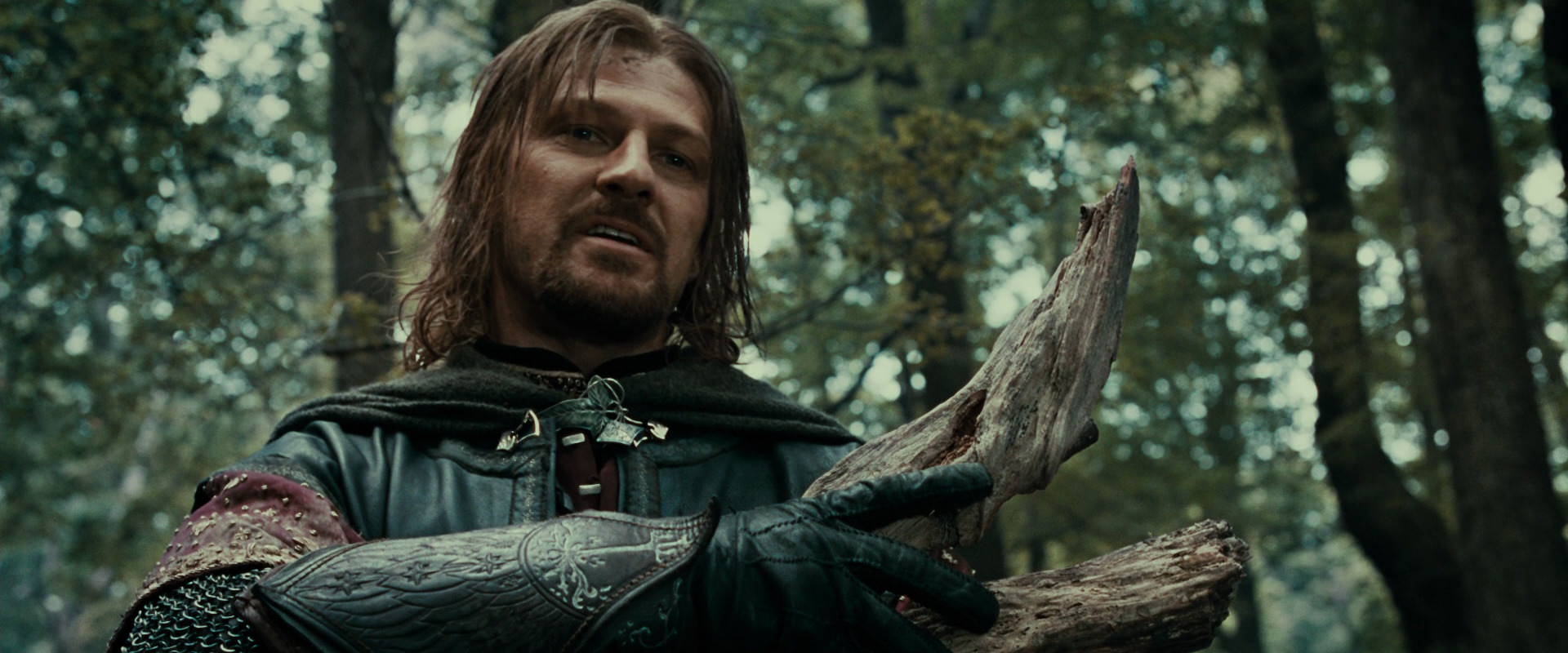 The Lord of the Rings: The Fellowship of the Ring (2001) screencap 21360