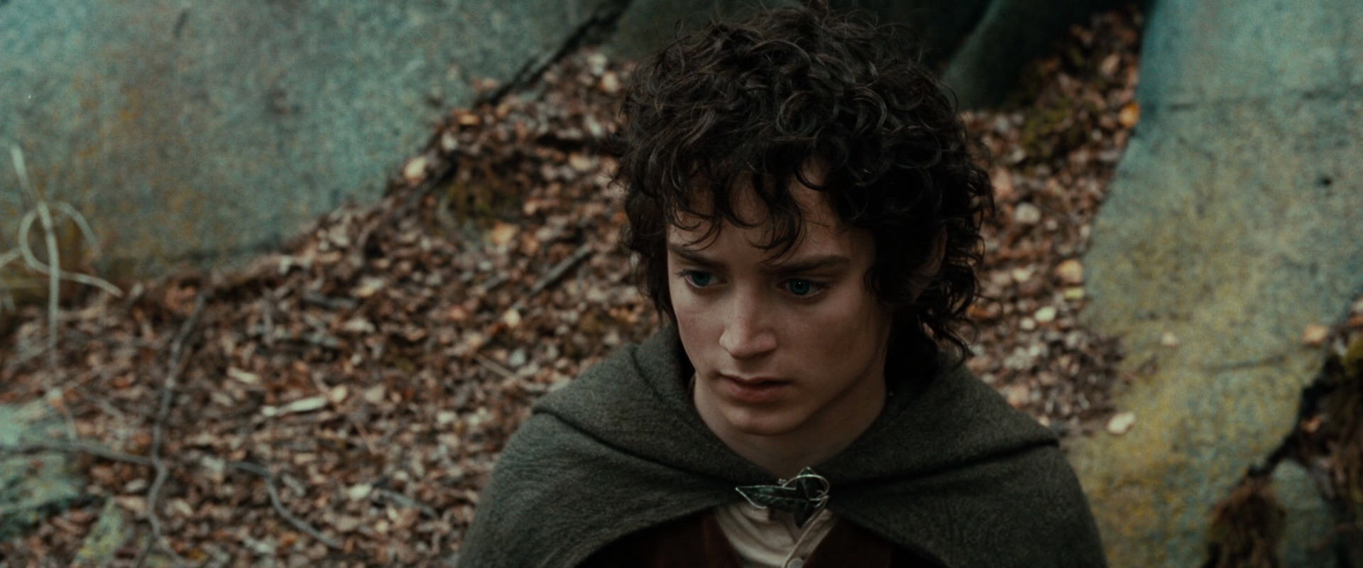 The Lord of the Rings: The Fellowship of the Ring (2001) movie still 21361