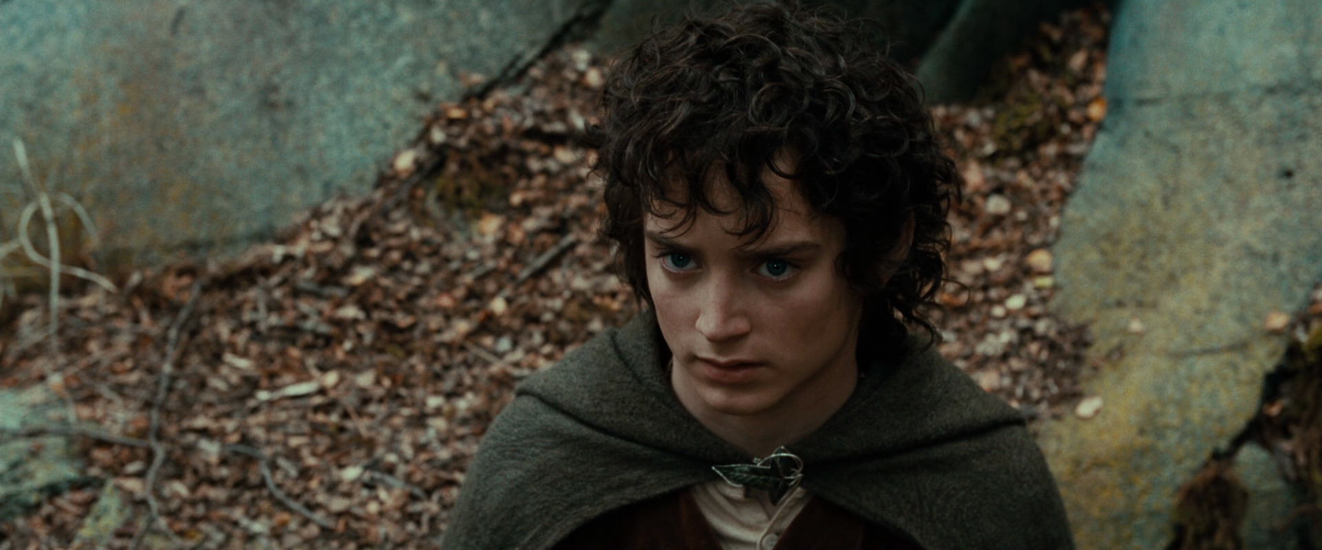 The Lord of the Rings: The Fellowship of the Ring (2001) HD screenshot 21362