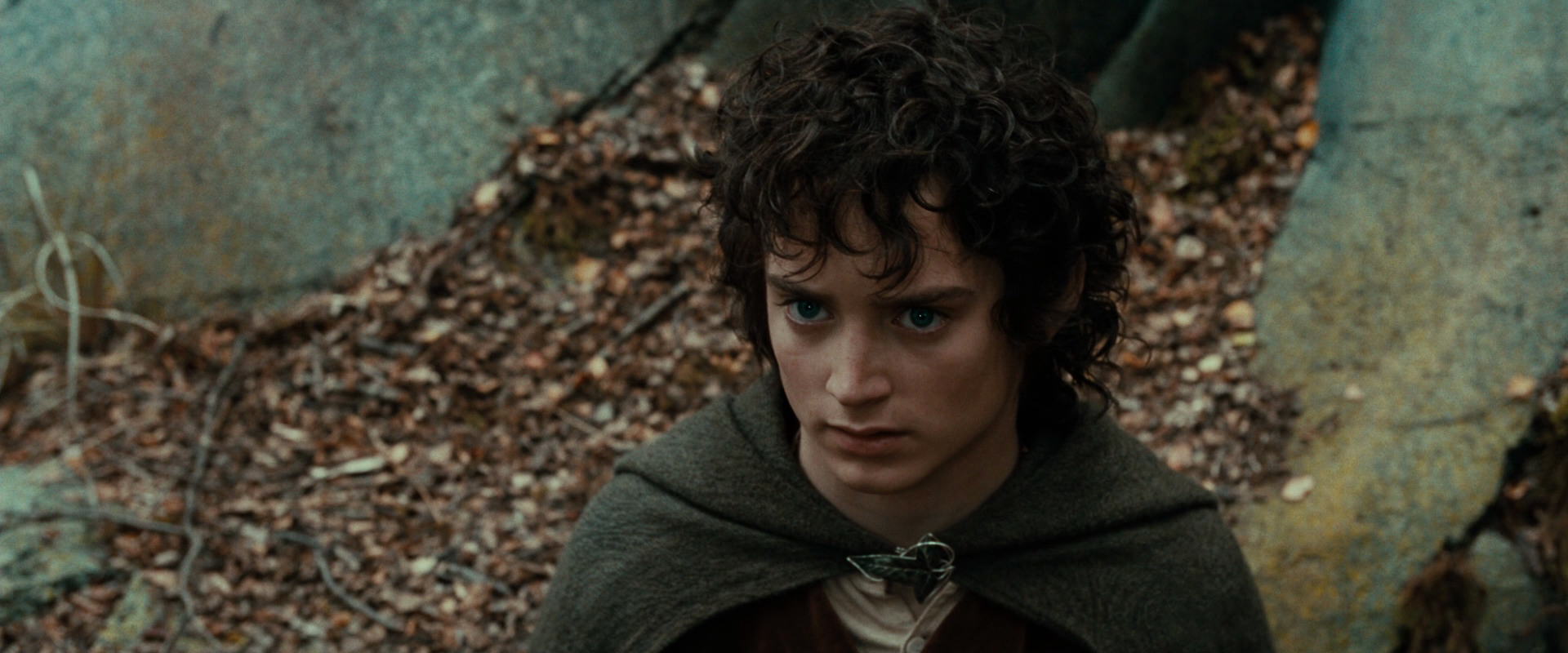 The Lord of the Rings: The Fellowship of the Ring (2001) screencap 21363