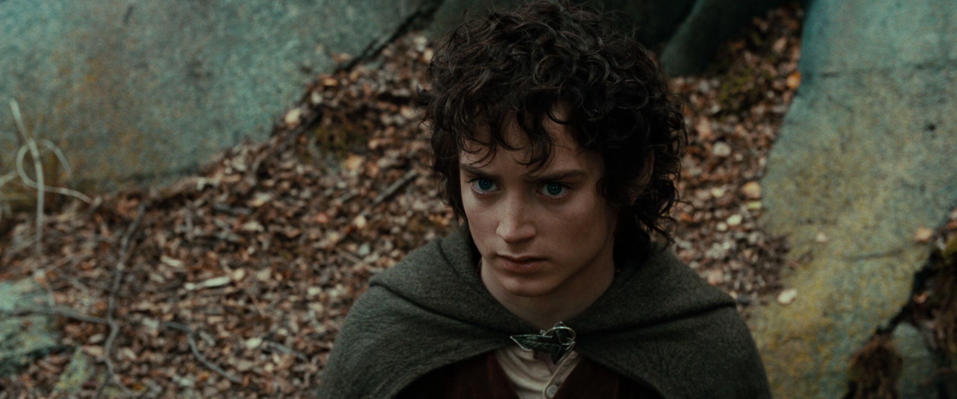 The Lord of the Rings: The Fellowship of the Ring (2001) movie still 21364