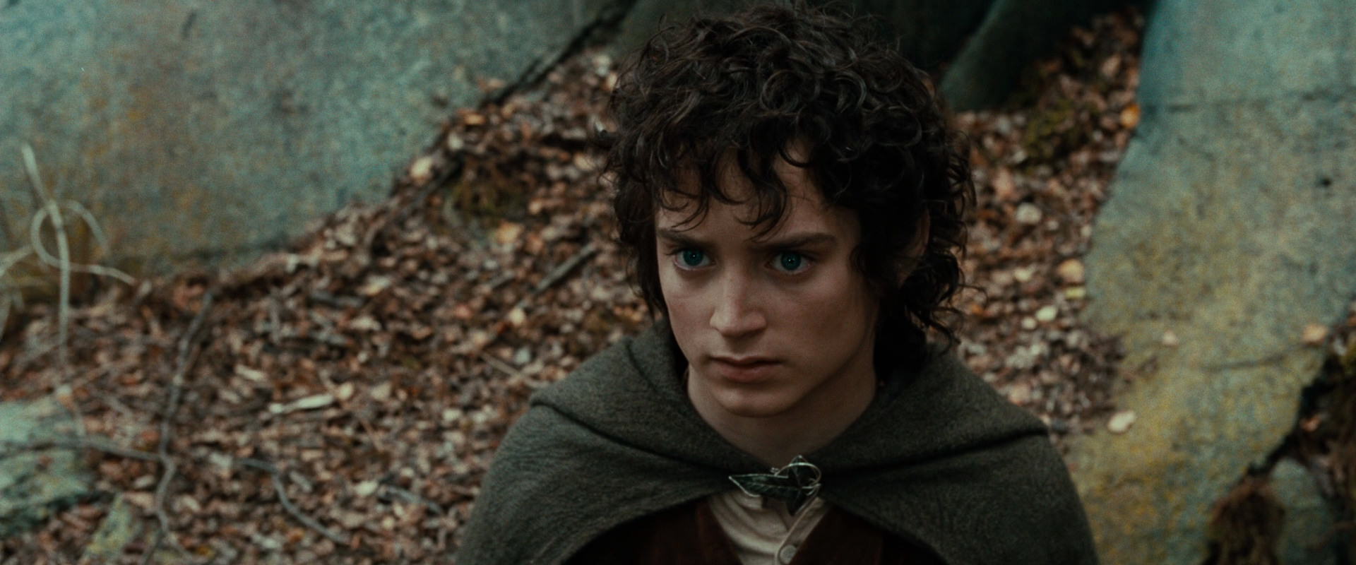 The Lord of the Rings: The Fellowship of the Ring (2001) HD screenshot 21365