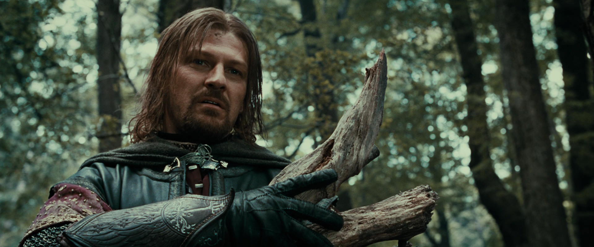 The Lord of the Rings: The Fellowship of the Ring (2001) screencap 21366