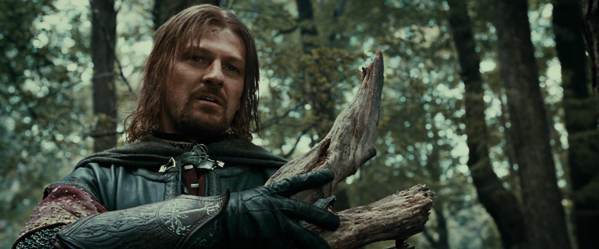The Lord of the Rings: The Fellowship of the Ring (2001) movie still 21367