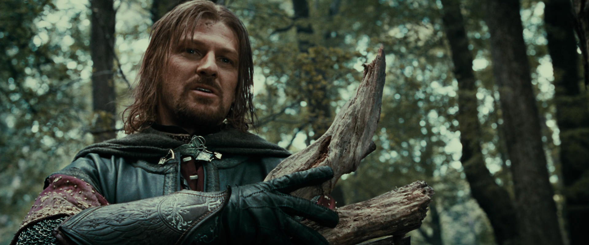 The Lord of the Rings: The Fellowship of the Ring (2001) HD screenshot 21368