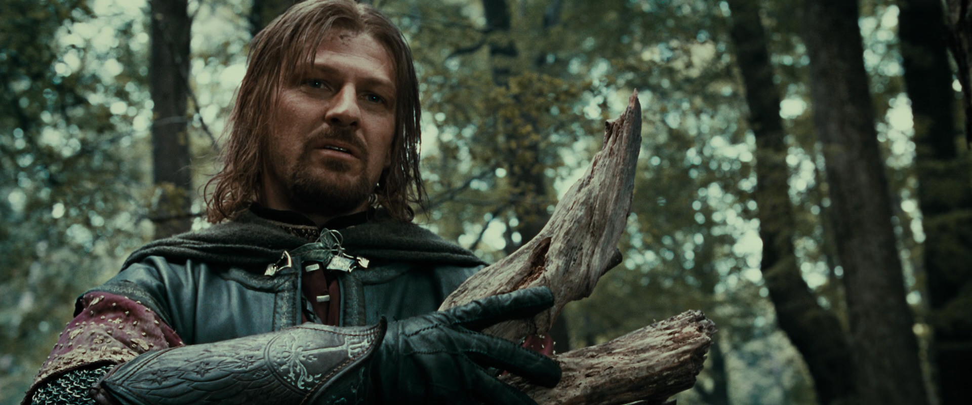 The Lord of the Rings: The Fellowship of the Ring (2001) screencap 21369