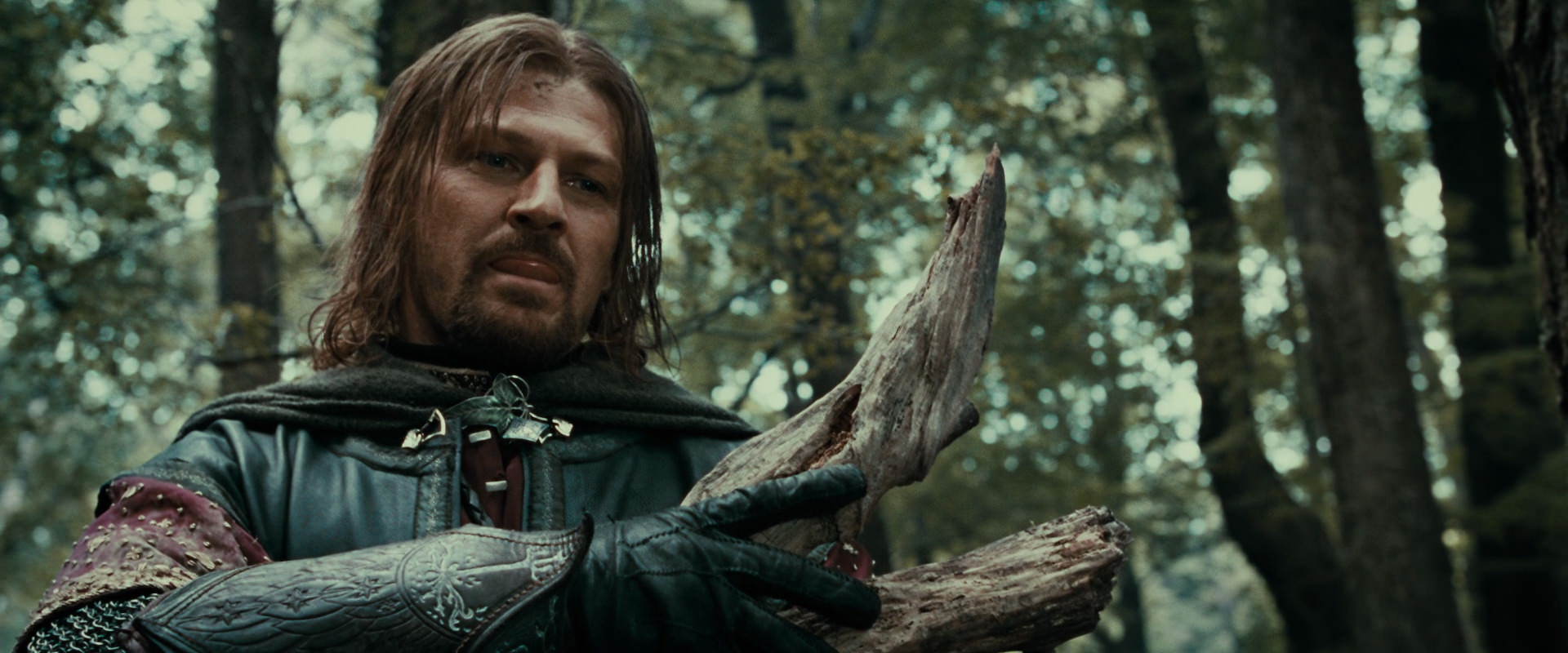 The Lord of the Rings: The Fellowship of the Ring (2001) HD screenshot 21371