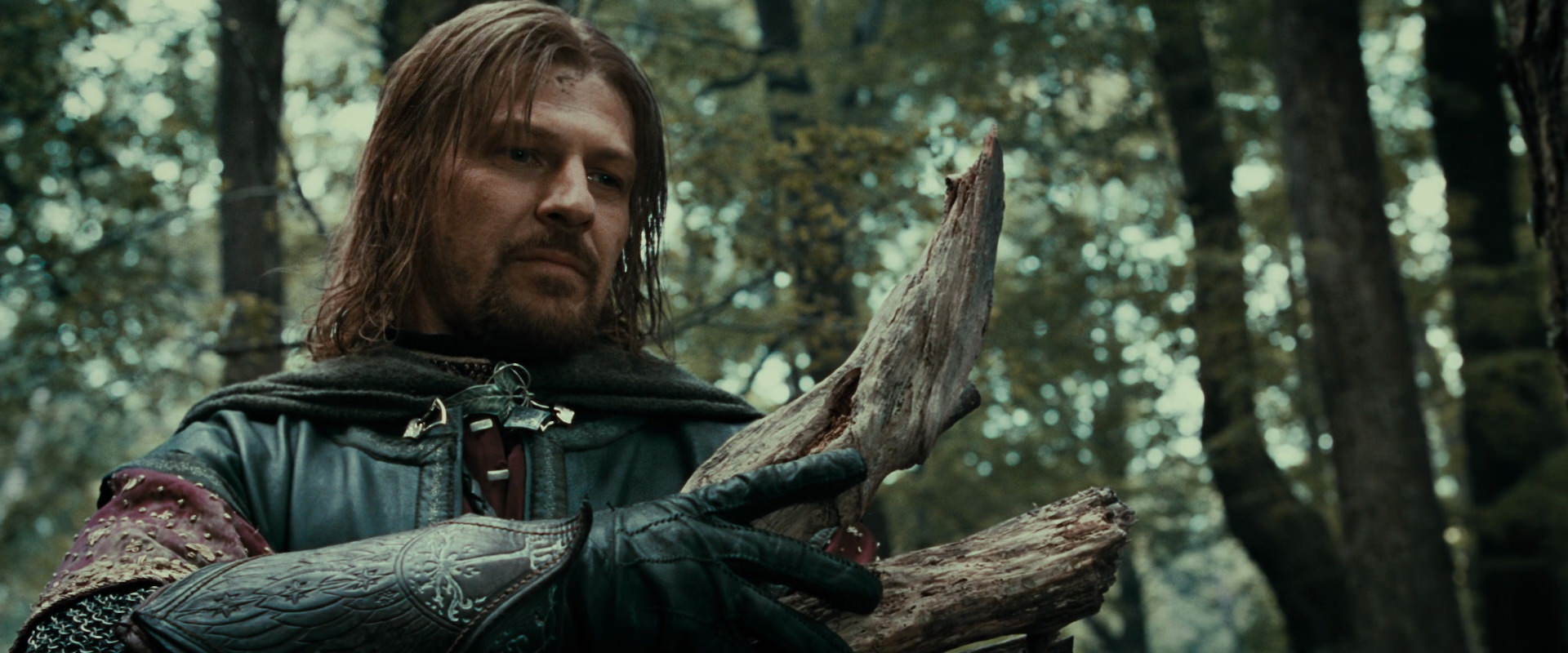 The Lord of the Rings: The Fellowship of the Ring (2001) screencap 21372