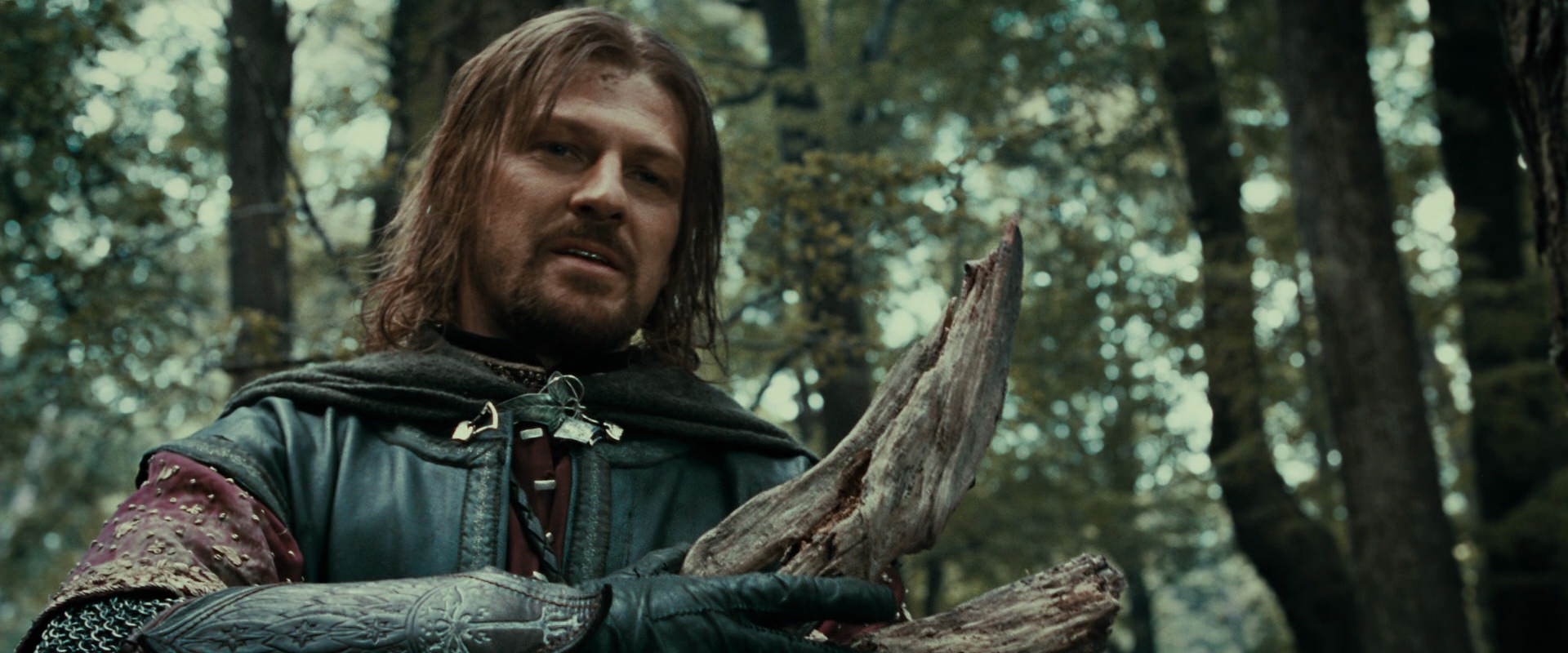 The Lord of the Rings: The Fellowship of the Ring (2001) HD screenshot 21374