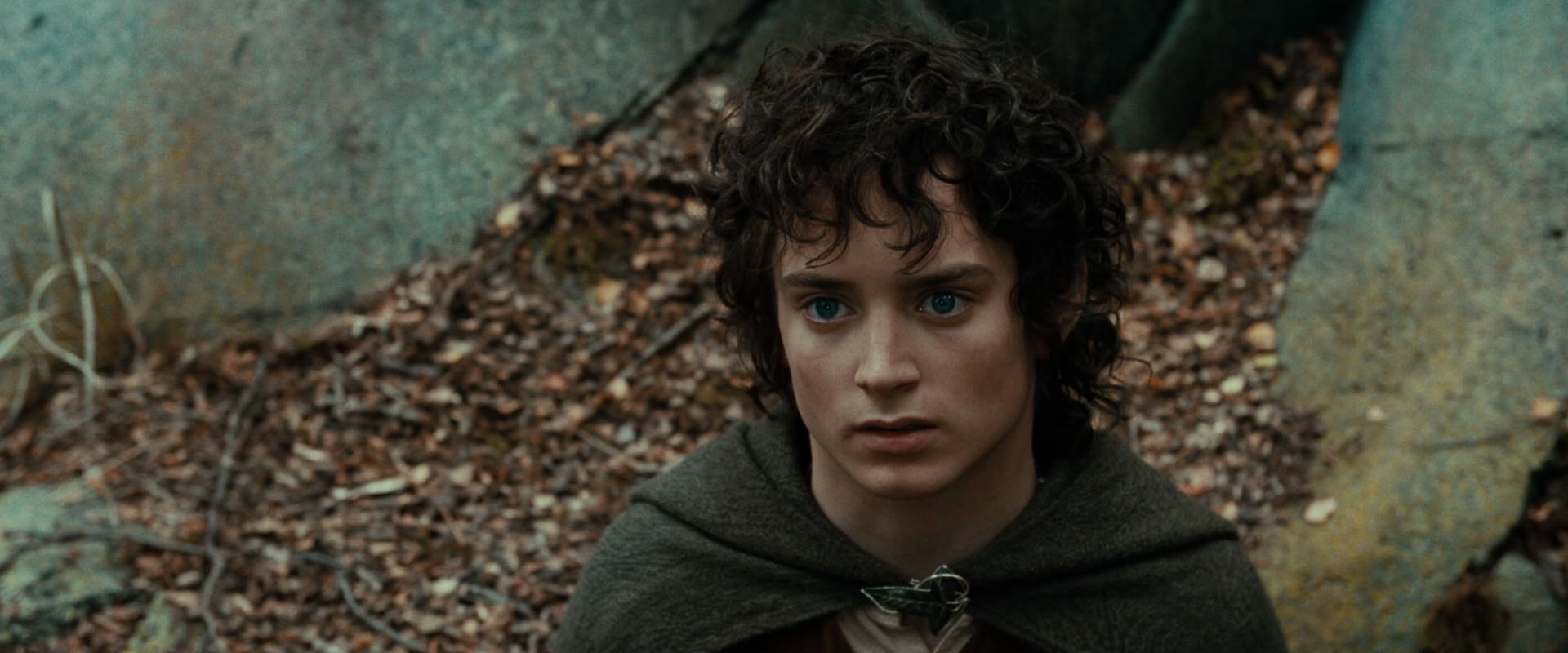 The Lord of the Rings: The Fellowship of the Ring (2001) screencap 21375