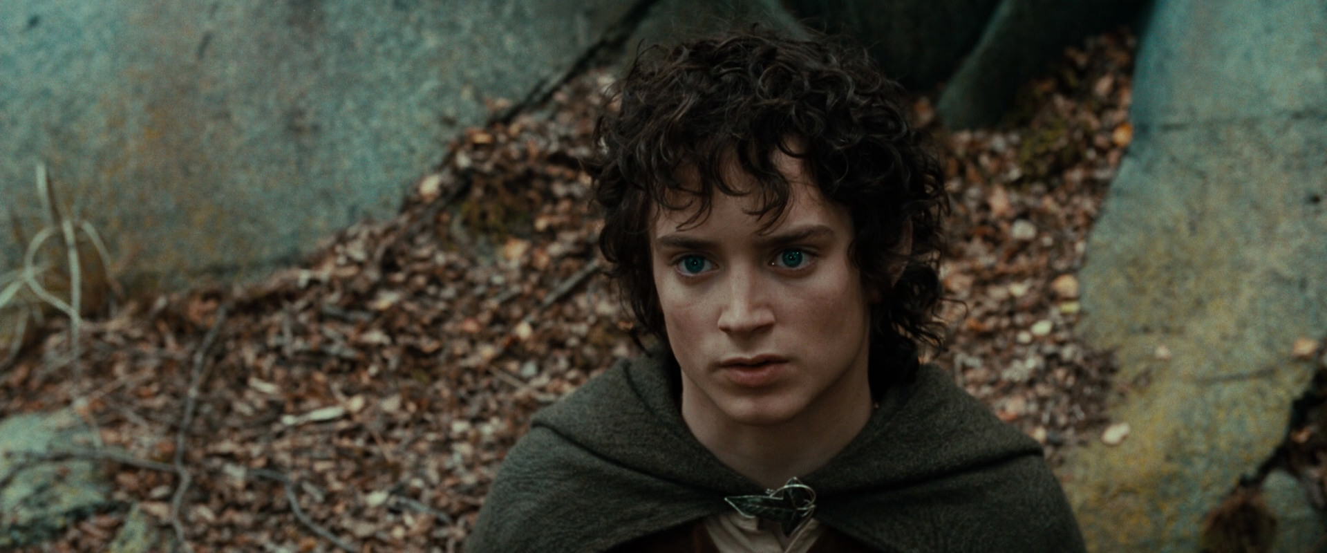 The Lord of the Rings: The Fellowship of the Ring (2001) movie still 21376