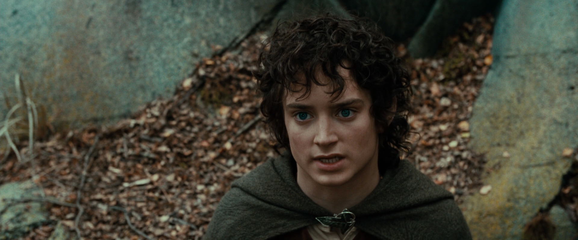 The Lord of the Rings: The Fellowship of the Ring (2001) HD screenshot 21377