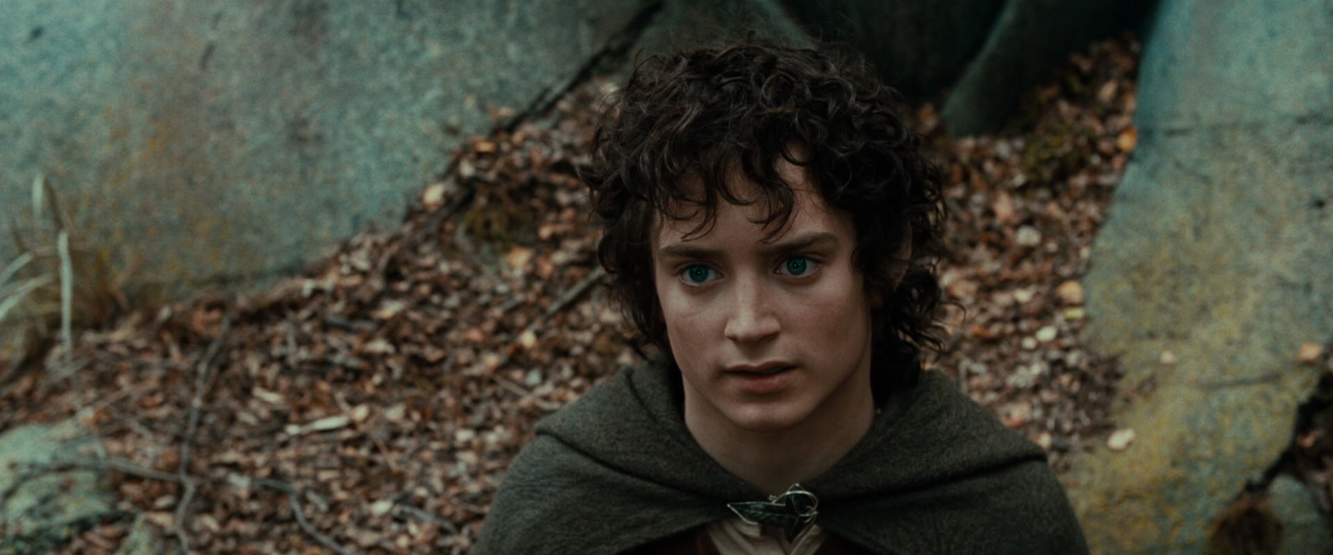 The Lord of the Rings: The Fellowship of the Ring (2001) screencap 21378