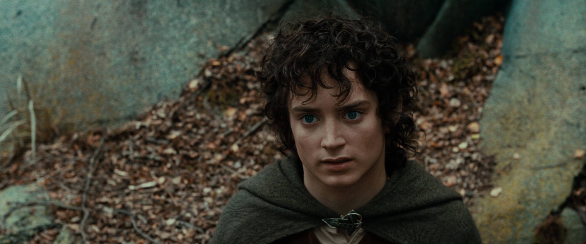 The Lord of the Rings: The Fellowship of the Ring (2001) movie still 21379