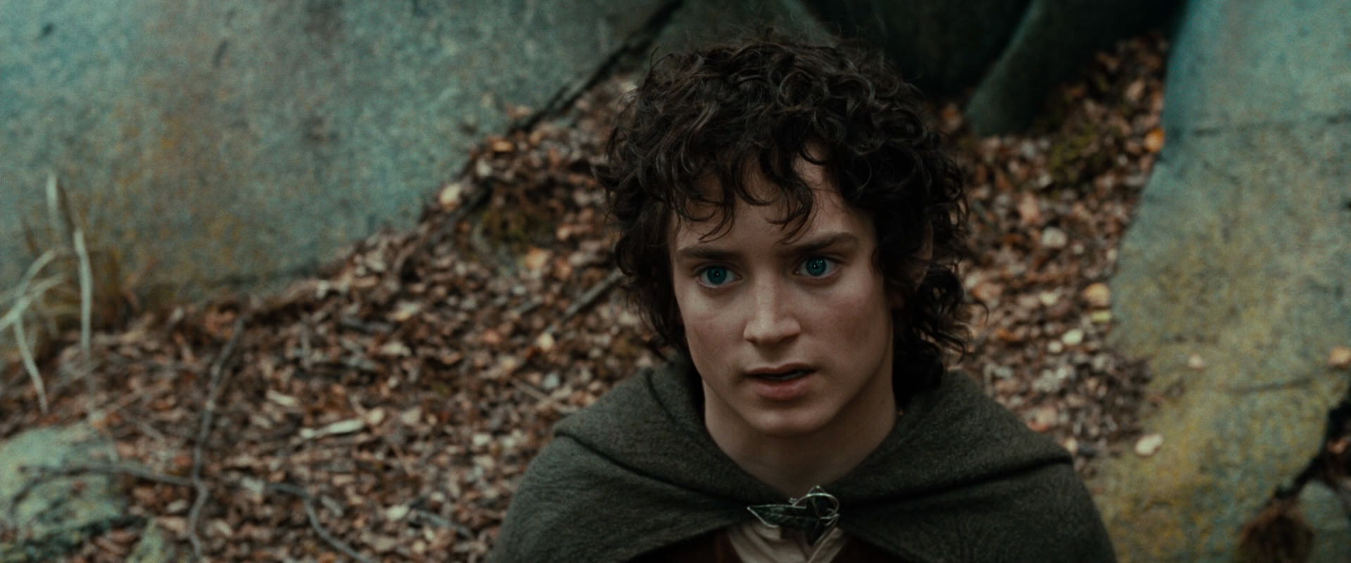 The Lord of the Rings: The Fellowship of the Ring (2001) HD screenshot 21380