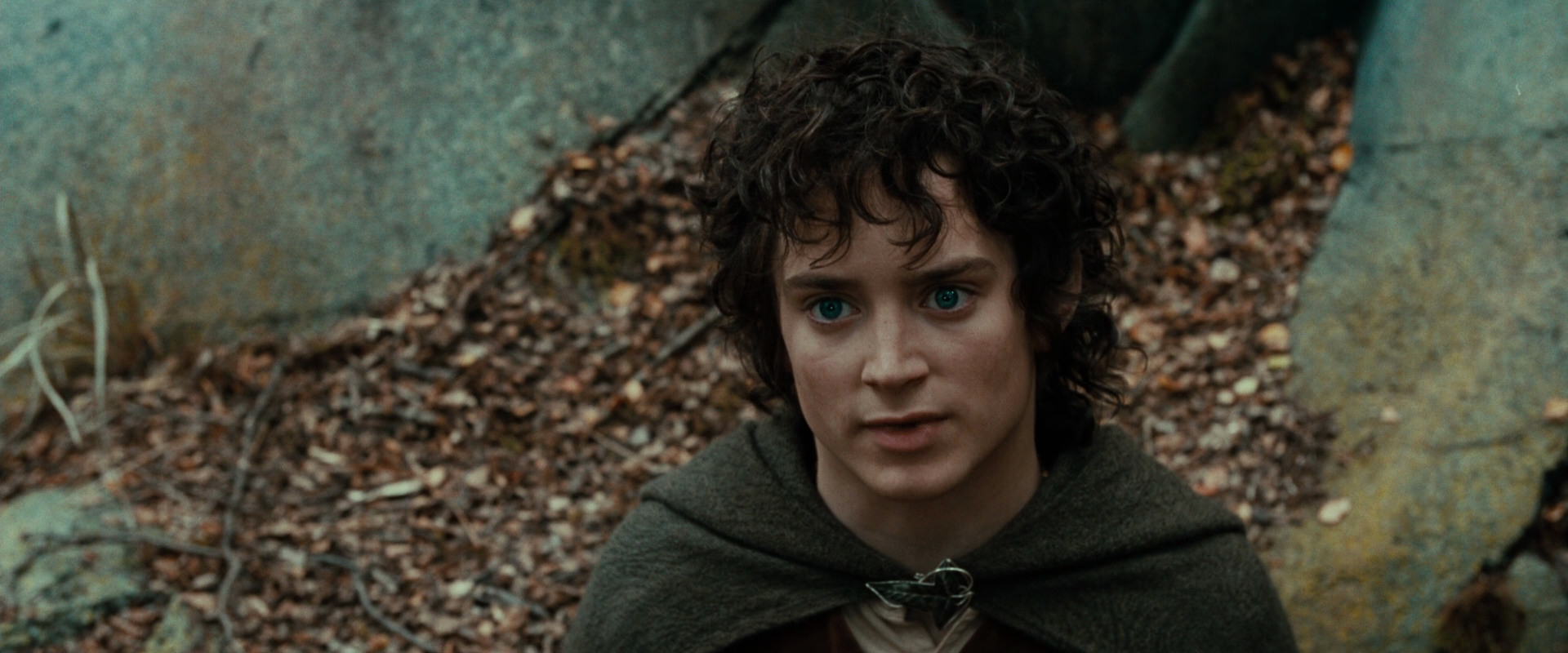 The Lord of the Rings: The Fellowship of the Ring (2001) screencap 21381
