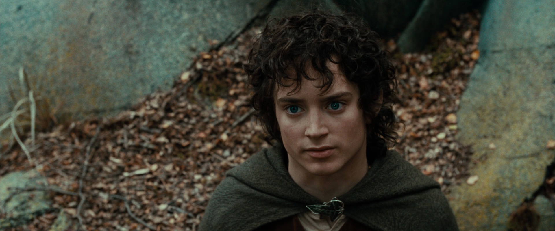 The Lord of the Rings: The Fellowship of the Ring (2001) movie still 21382