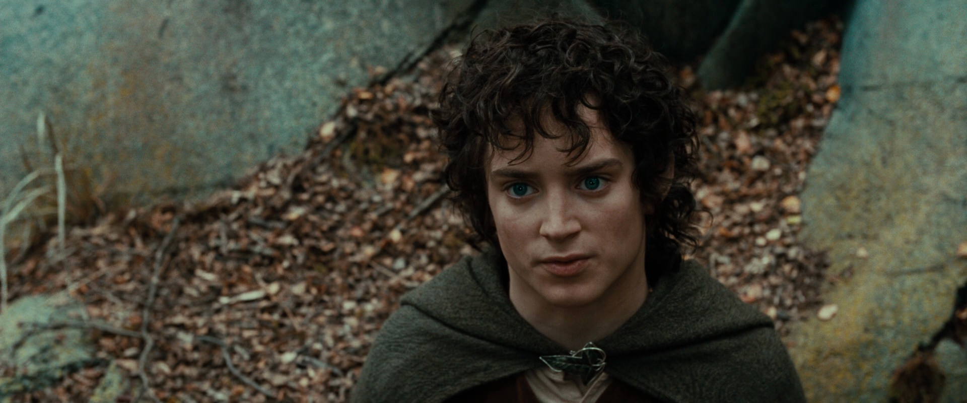 The Lord of the Rings: The Fellowship of the Ring (2001) HD screenshot 21383