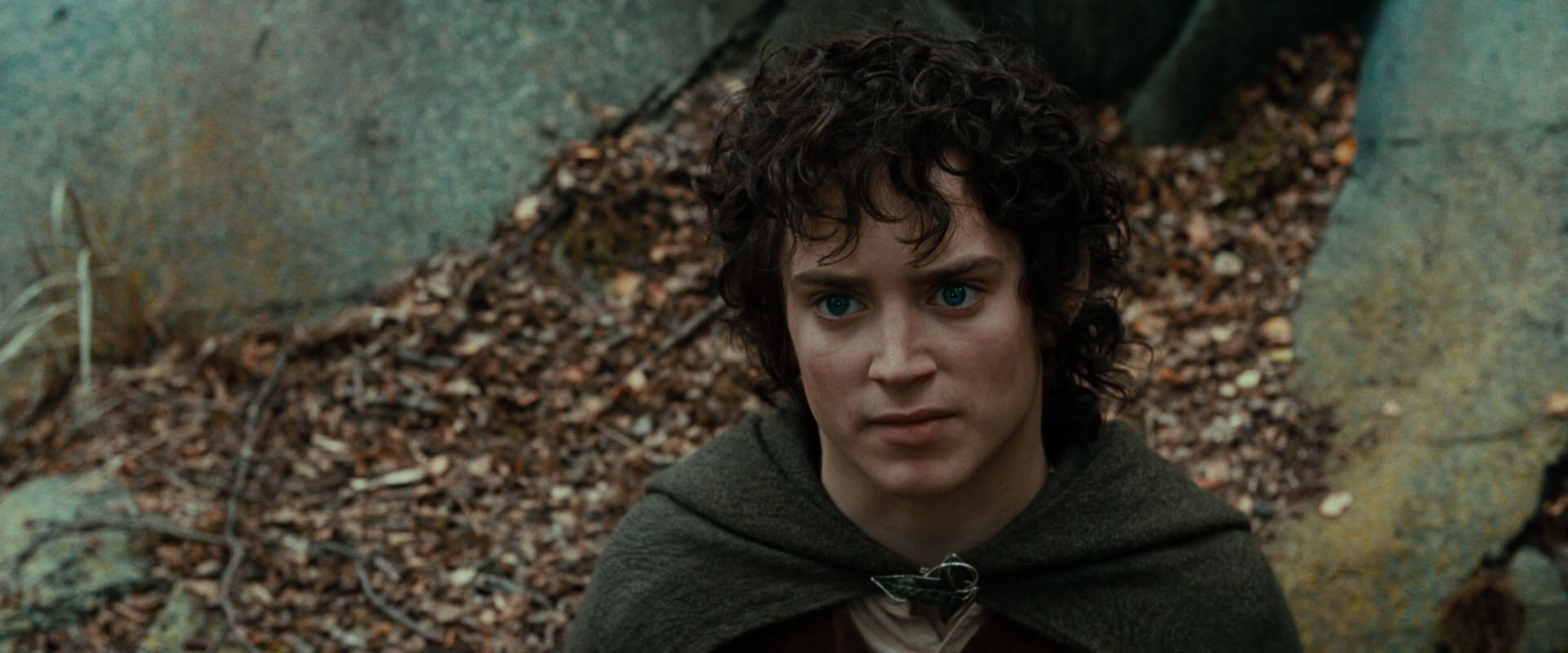 The Lord of the Rings: The Fellowship of the Ring (2001) screencap 21384