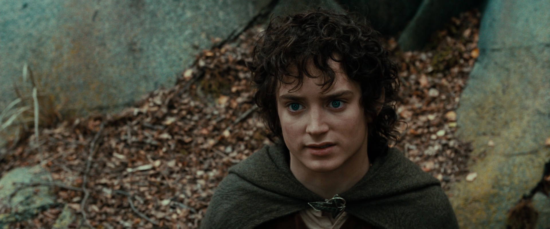 The Lord of the Rings: The Fellowship of the Ring (2001) movie still 21385