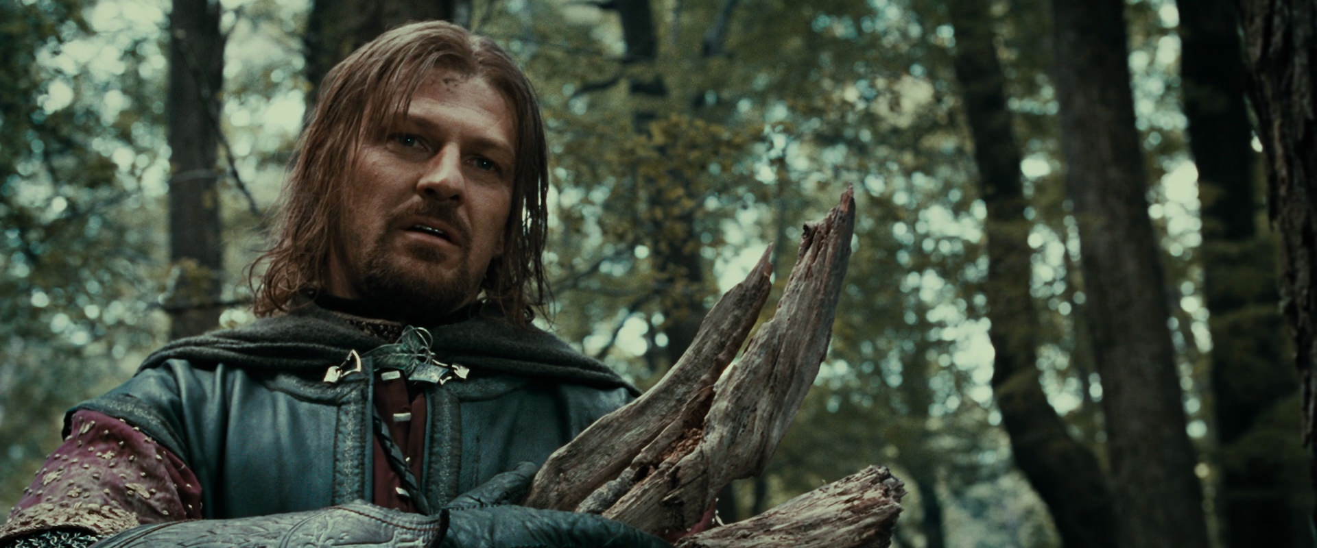 The Lord of the Rings: The Fellowship of the Ring (2001) screencap 21387