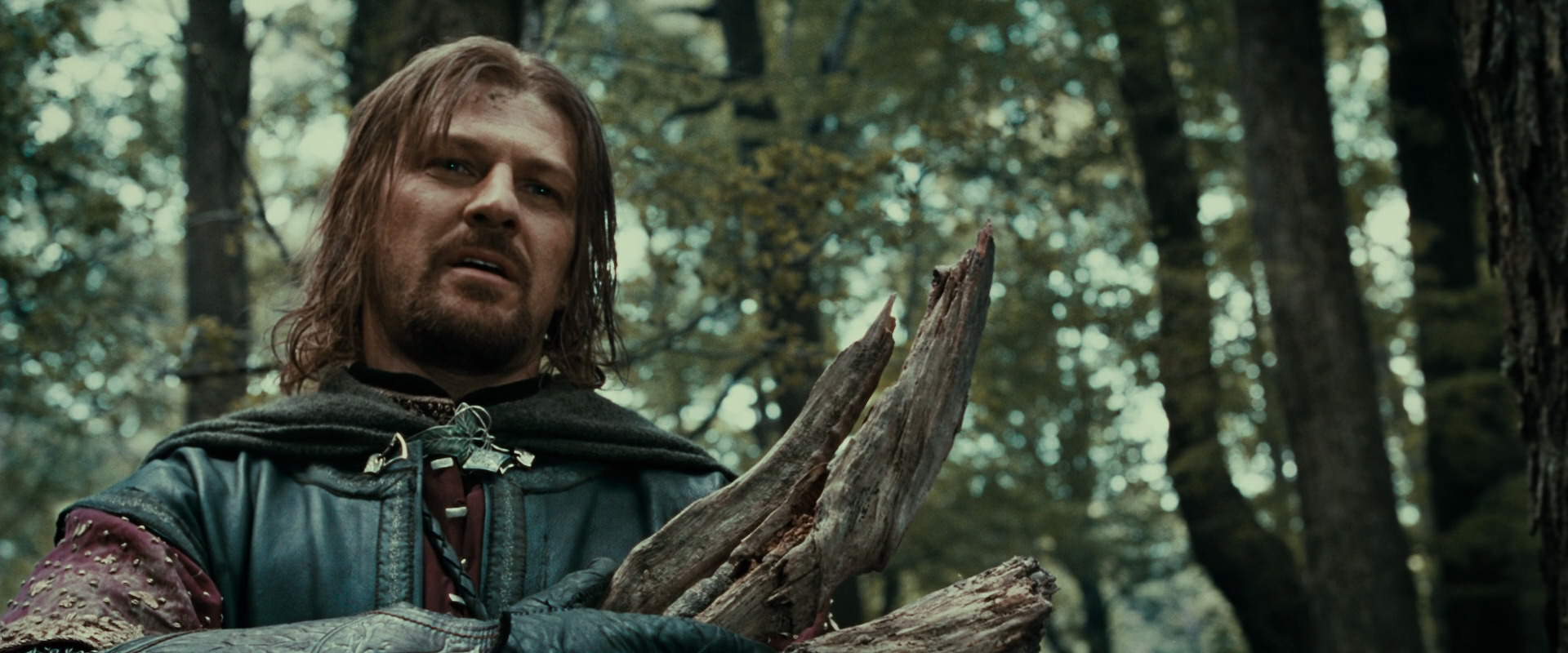 The Lord of the Rings: The Fellowship of the Ring (2001) HD screenshot 21389