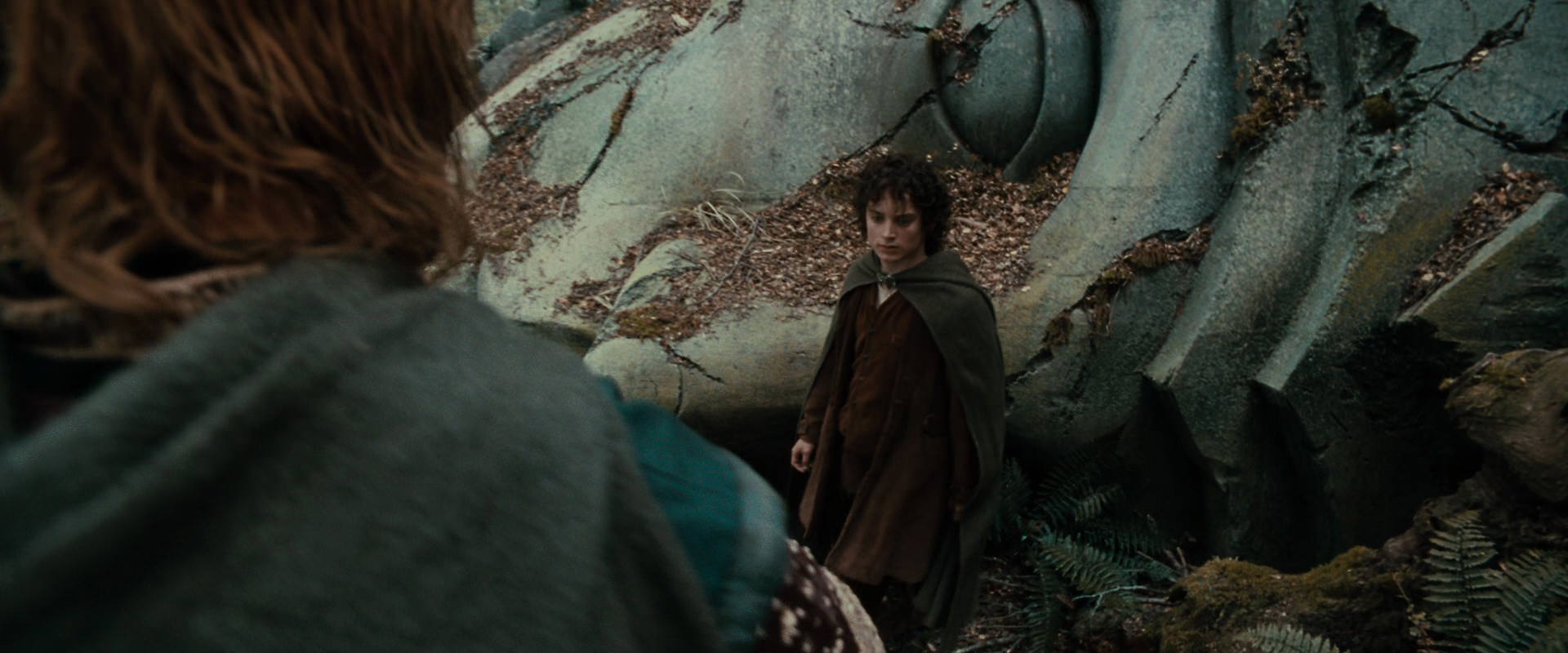 The Lord of the Rings: The Fellowship of the Ring (2001) screencap 21390