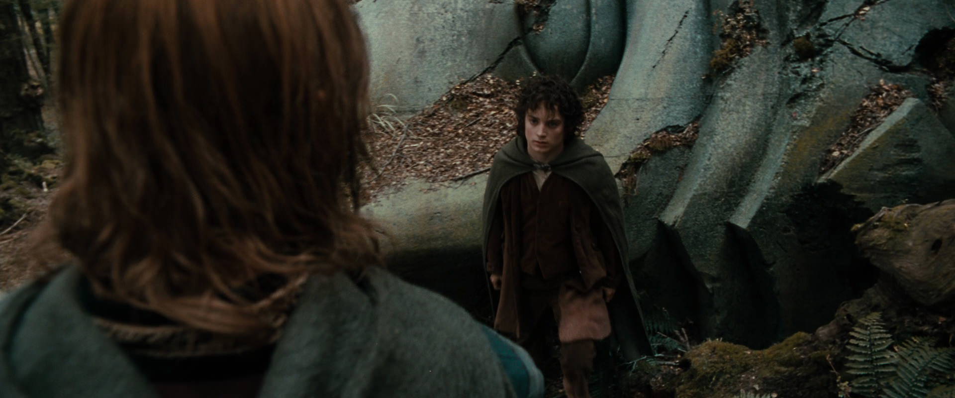 The Lord of the Rings: The Fellowship of the Ring (2001) movie still 21391