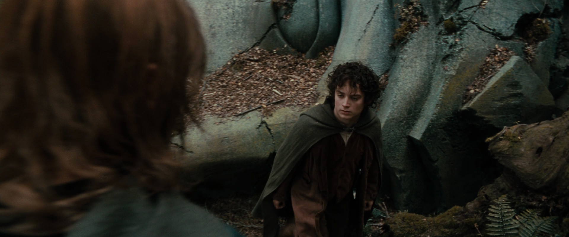 The Lord of the Rings: The Fellowship of the Ring (2001) HD screenshot 21392