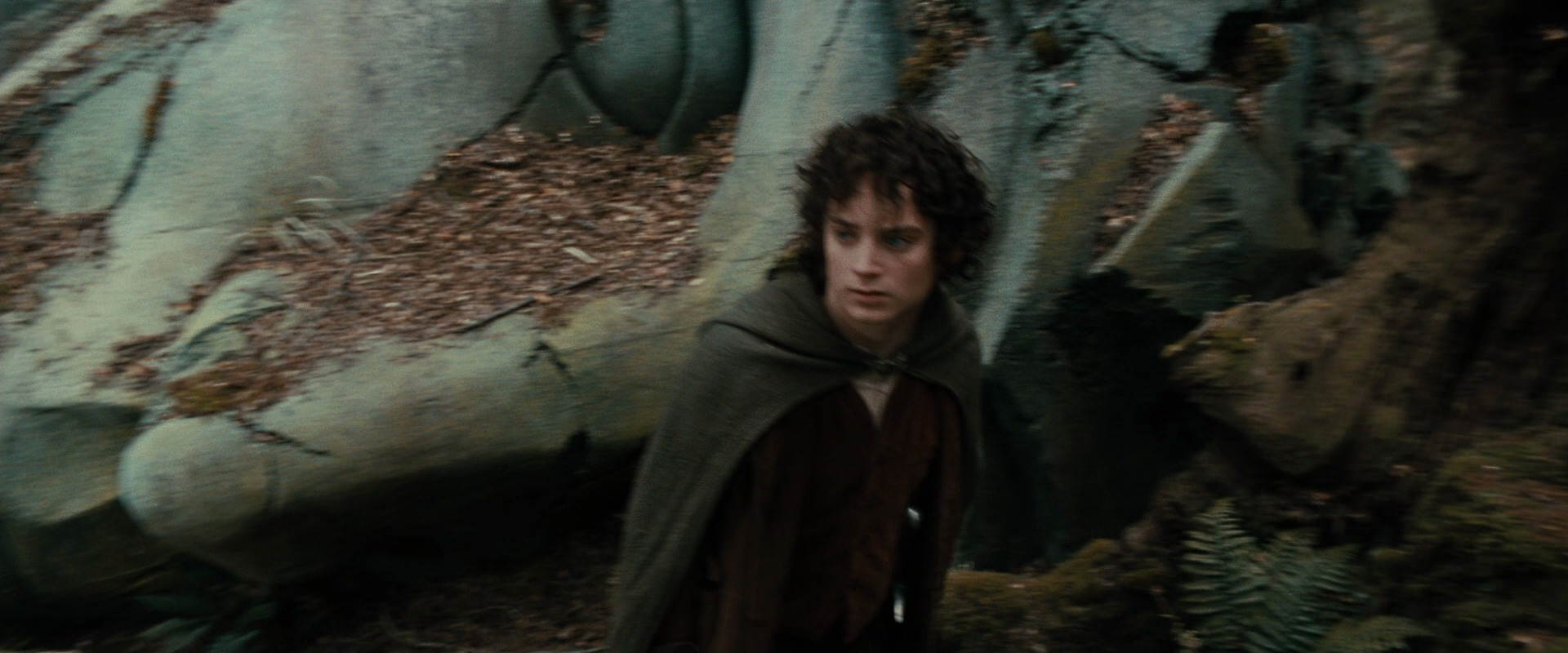 The Lord of the Rings: The Fellowship of the Ring (2001) screencap 21393