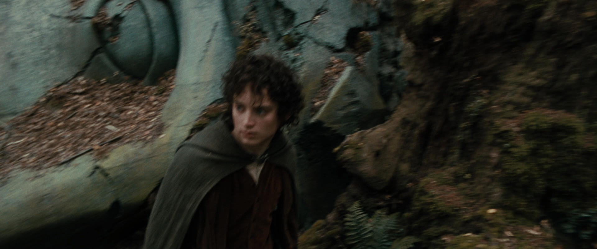 The Lord of the Rings: The Fellowship of the Ring (2001) movie still 21394