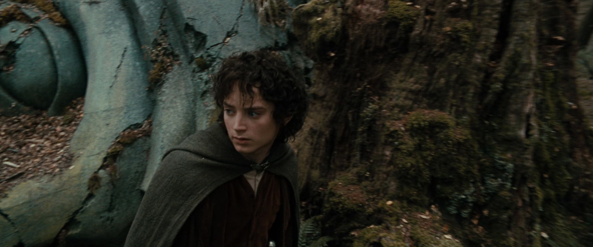 The Lord of the Rings: The Fellowship of the Ring (2001) HD screenshot 21395