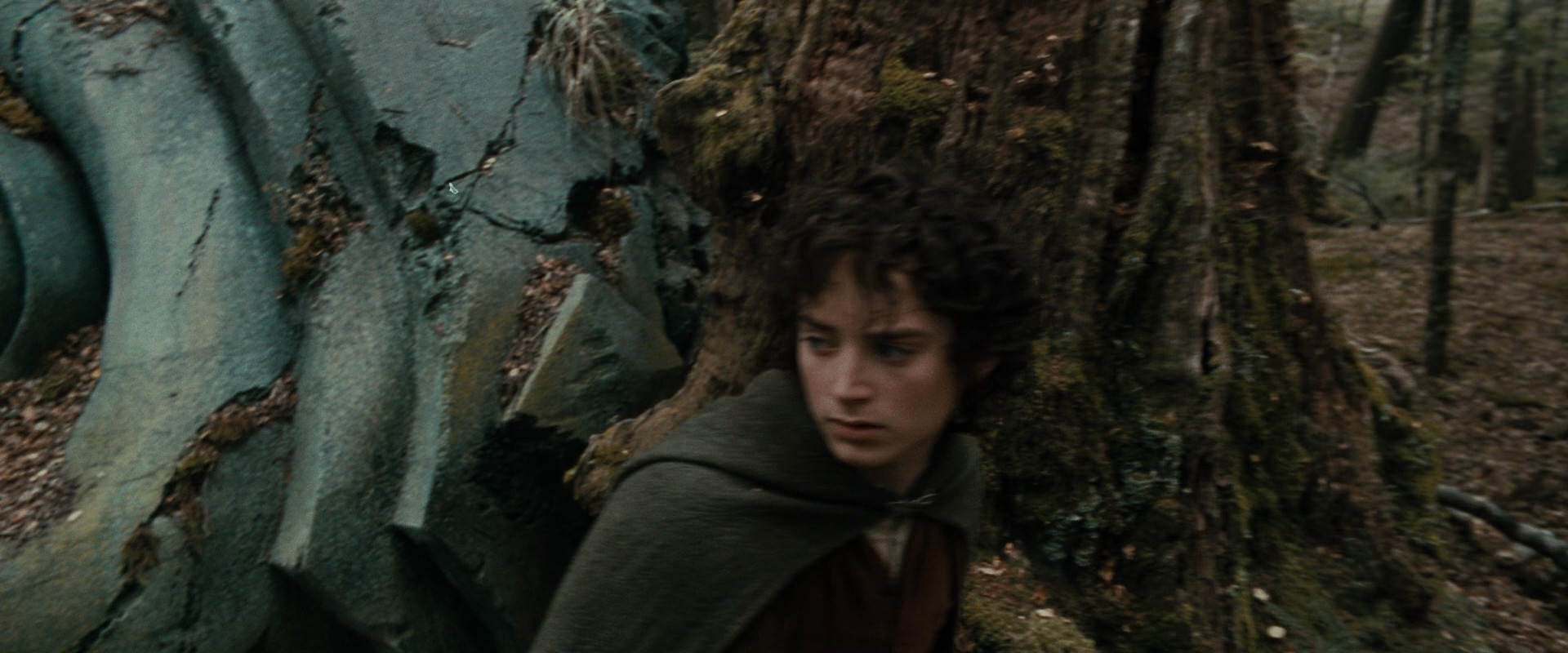 The Lord of the Rings: The Fellowship of the Ring (2001) screencap 21396