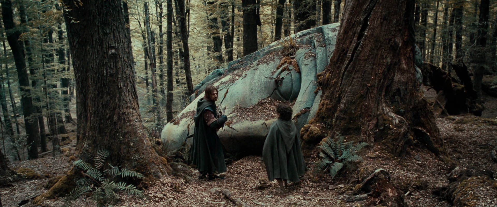 The Lord of the Rings: The Fellowship of the Ring (2001) movie still 21397