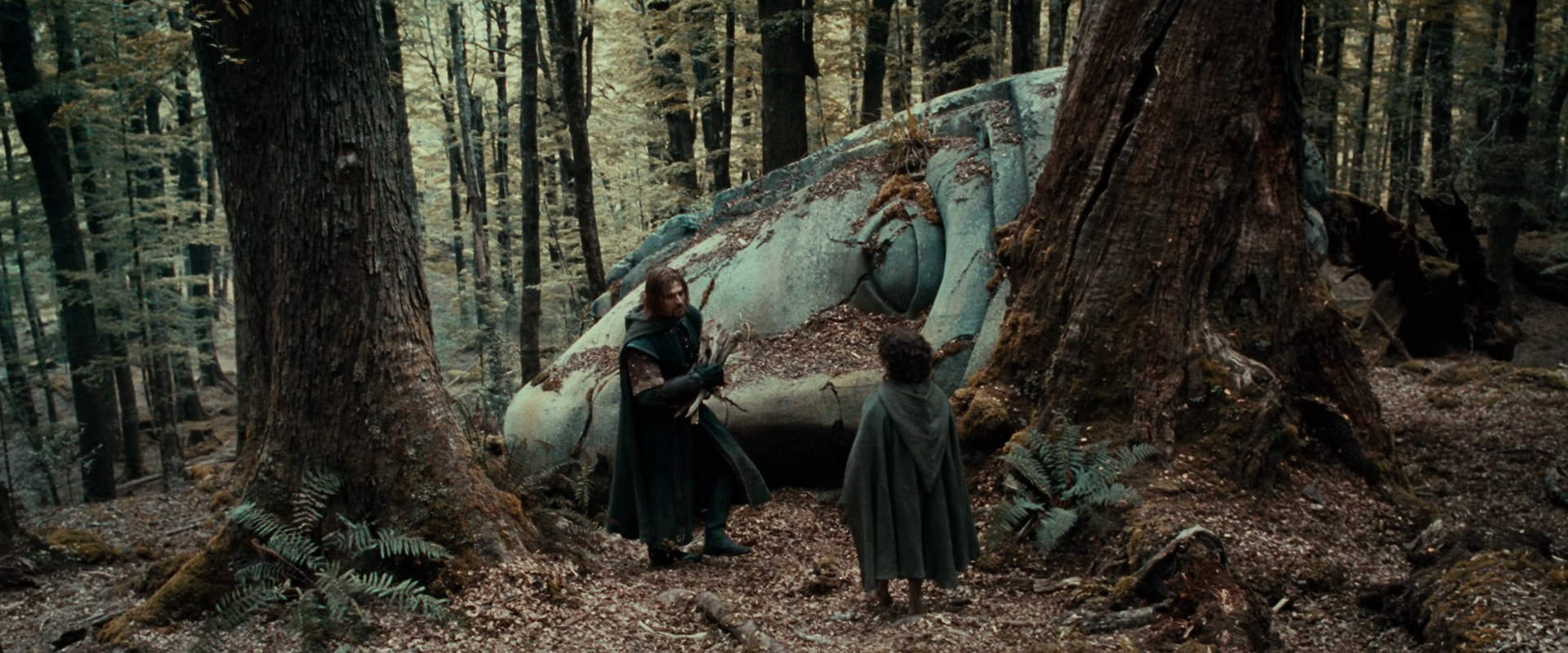 The Lord of the Rings: The Fellowship of the Ring (2001) screencap 21399