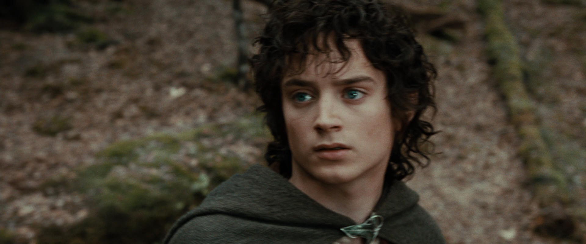 The Lord of the Rings: The Fellowship of the Ring (2001) HD screenshot 21404