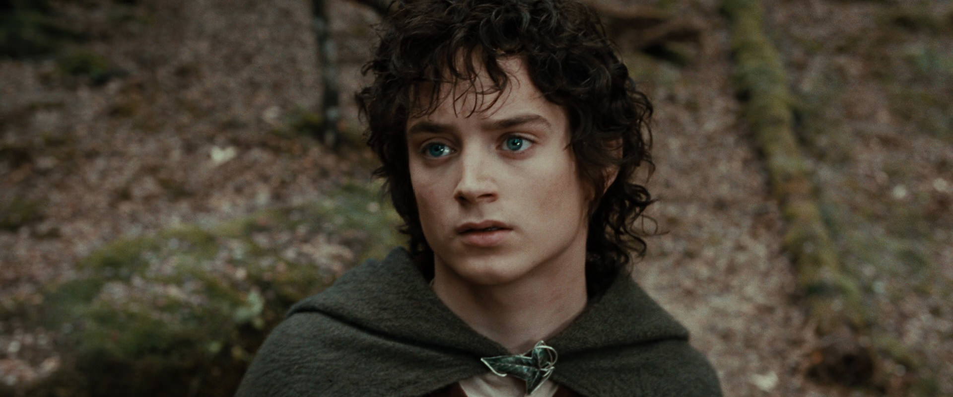 The Lord of the Rings: The Fellowship of the Ring (2001) screencap 21405